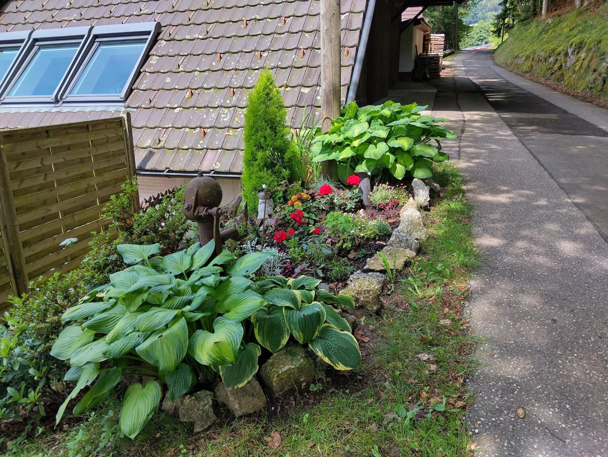 Ferienwohnung Haus "Guck - Ins - Tal" Sasbachwalden Exterior foto
