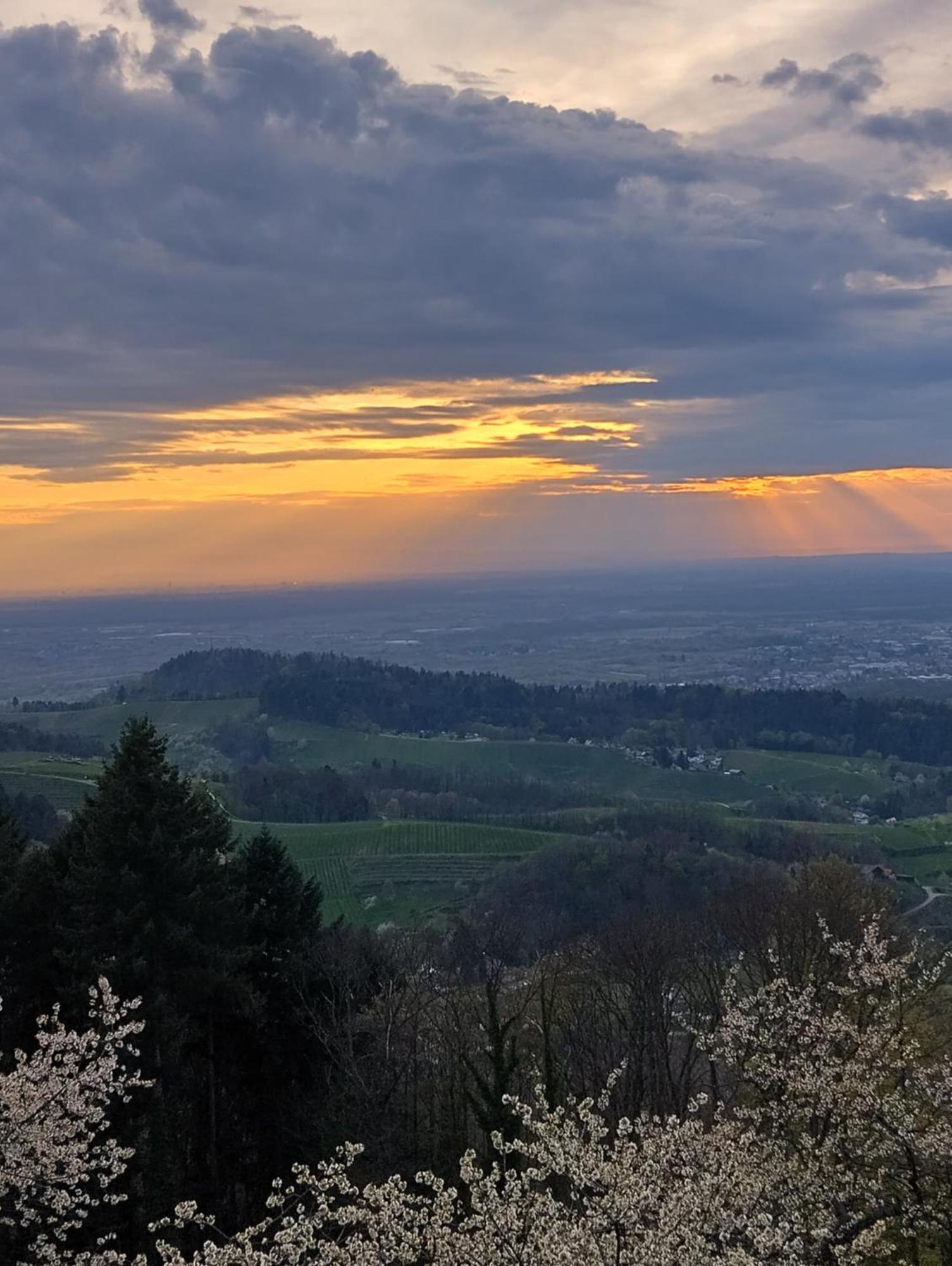 Ferienwohnung Haus "Guck - Ins - Tal" Sasbachwalden Exterior foto